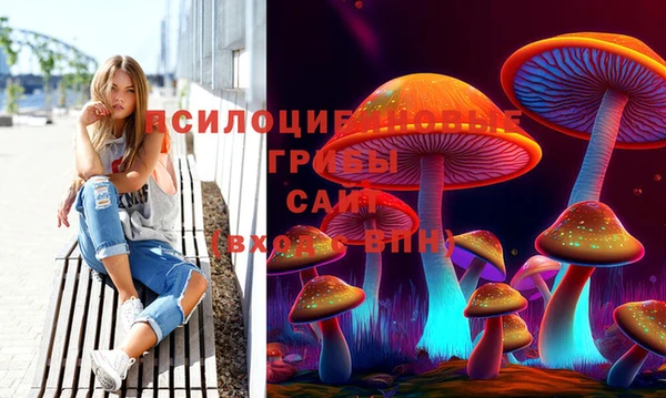 таблы Алексин