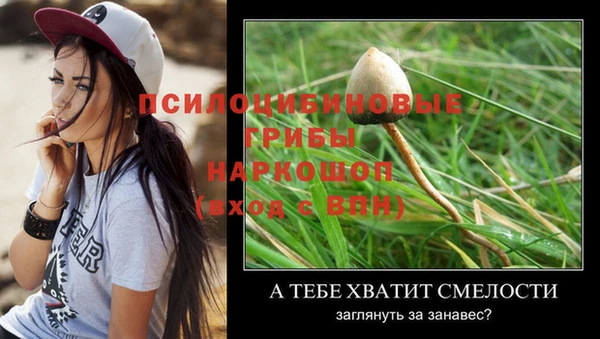 СК Абдулино