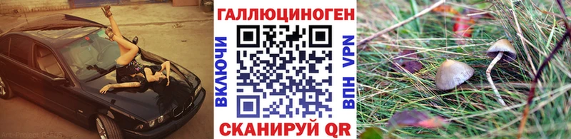 Галлюциногенные грибы мицелий продажа наркотиков Краснозаводск